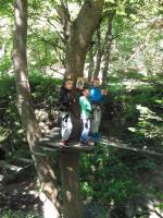 IMG 20160707 110545