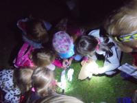 Olandia 1 - 1DSC01546-kopia