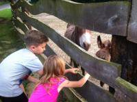 Olandia 1 - IMG 3260