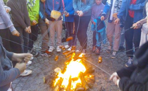 P6Woxh8Sbq5YuIhM0mjNg thumb 5783